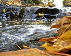 免费ddos平台攻击